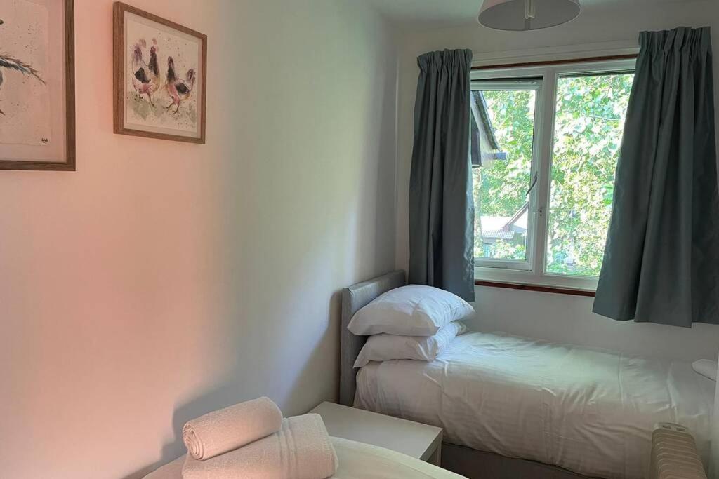 37 Strawberry Hill, Hayle别墅 外观 照片